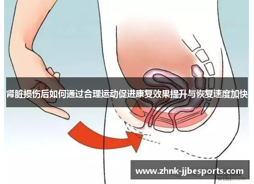 肾脏损伤后如何通过合理运动促进康复效果提升与恢复速度加快