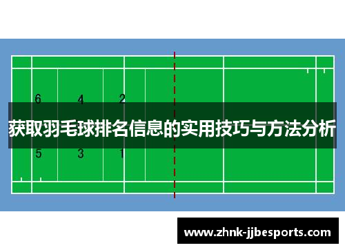 获取羽毛球排名信息的实用技巧与方法分析
