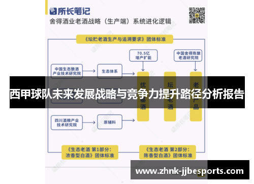 西甲球队未来发展战略与竞争力提升路径分析报告