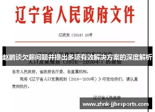 赵鹏谈欠薪问题并提出多项有效解决方案的深度解析