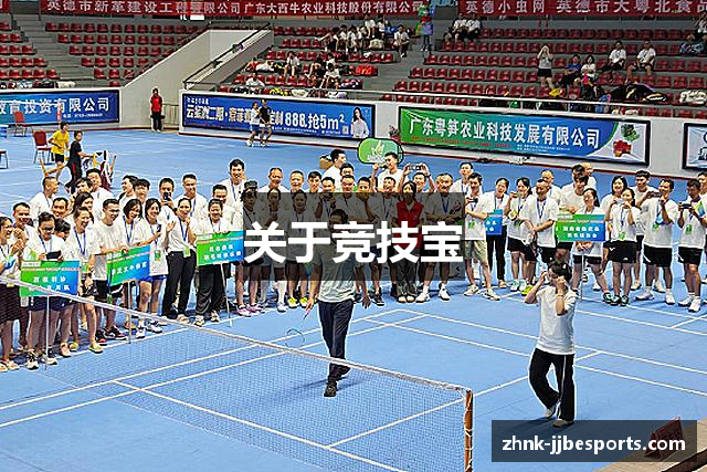 关于竞技宝